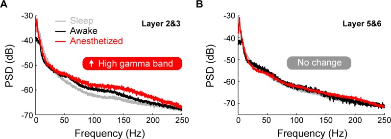 Fig 11