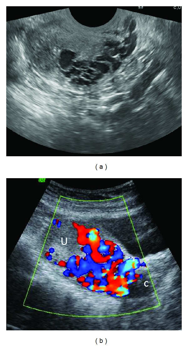 Figure 5