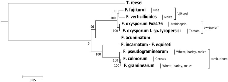 Fig. 1.—