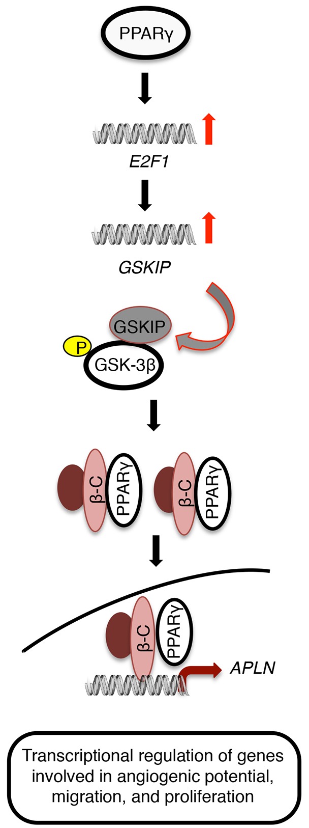 Fig. 8.