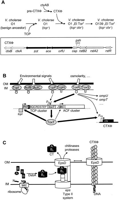 FIG. 12.