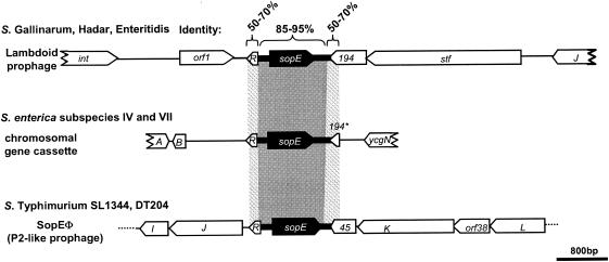 FIG. 9.