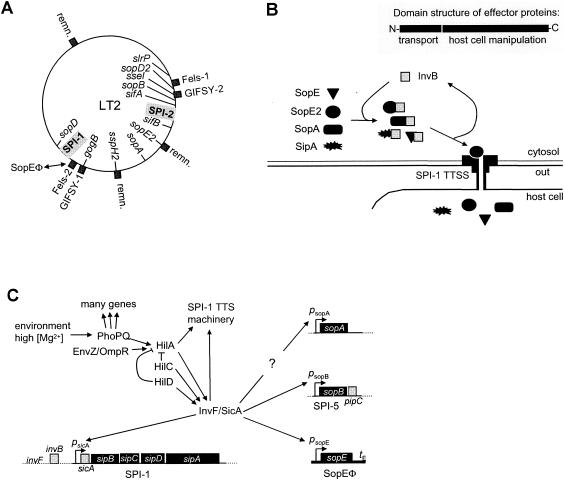 FIG. 11.