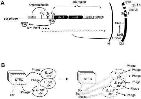 FIG. 14.