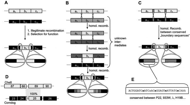 FIG. 8.