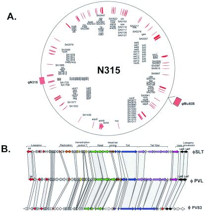 FIG. 17.