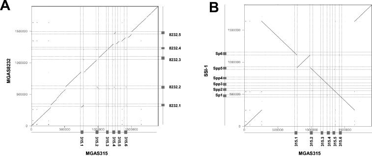 FIG. 1.