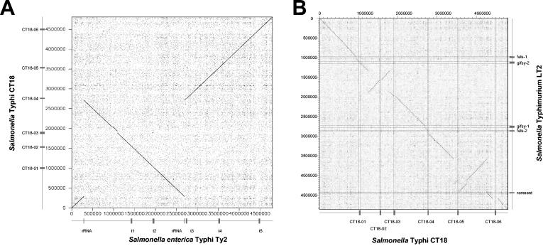 FIG. 4.