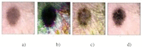 Fig 8