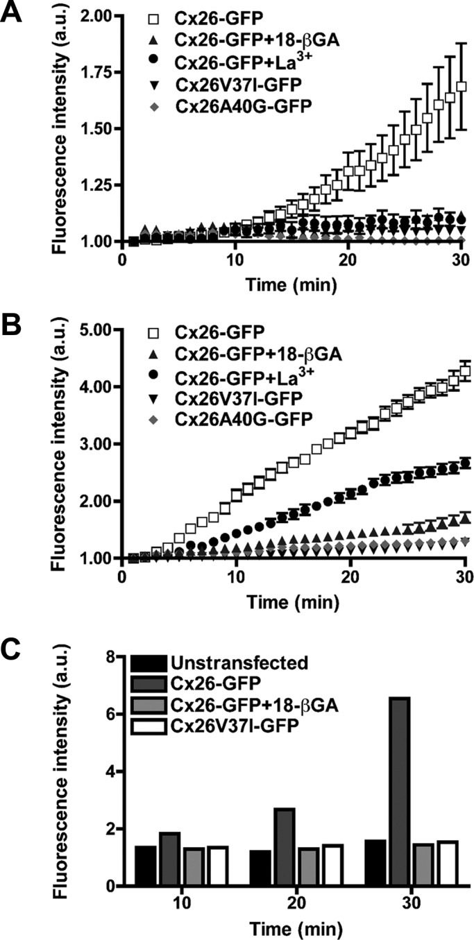 FIGURE 7: