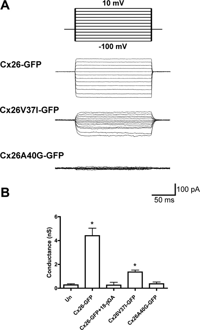 FIGURE 6: