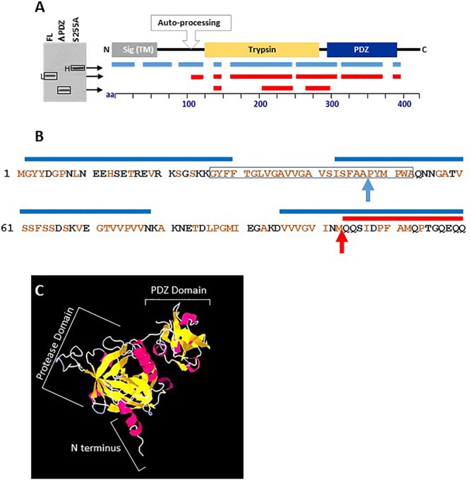 FIGURE 3