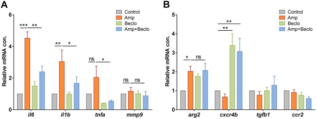 Fig. 7.