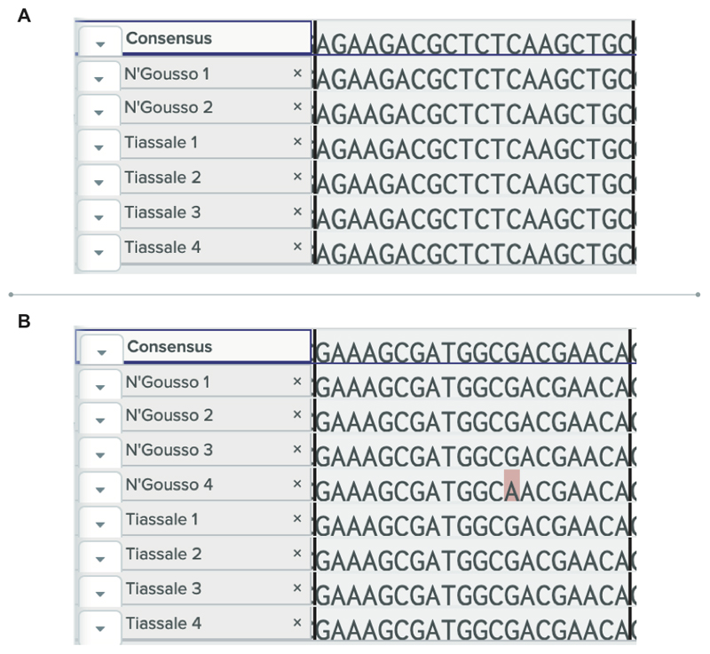 Extended Data Figure 9