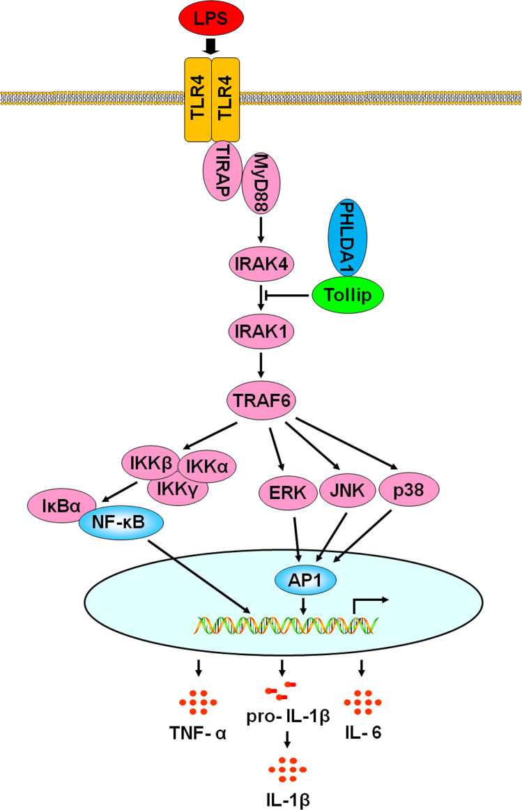 Figure 7