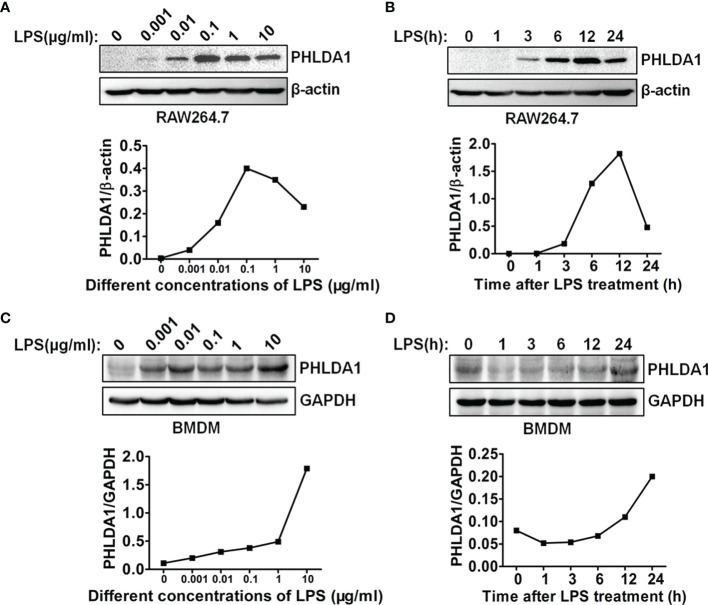 Figure 1