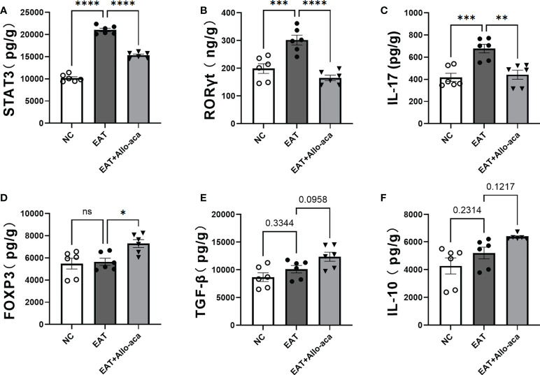 Figure 6