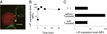 Fig. 3.