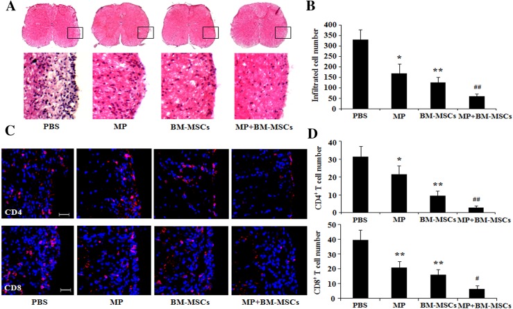 Fig. 4