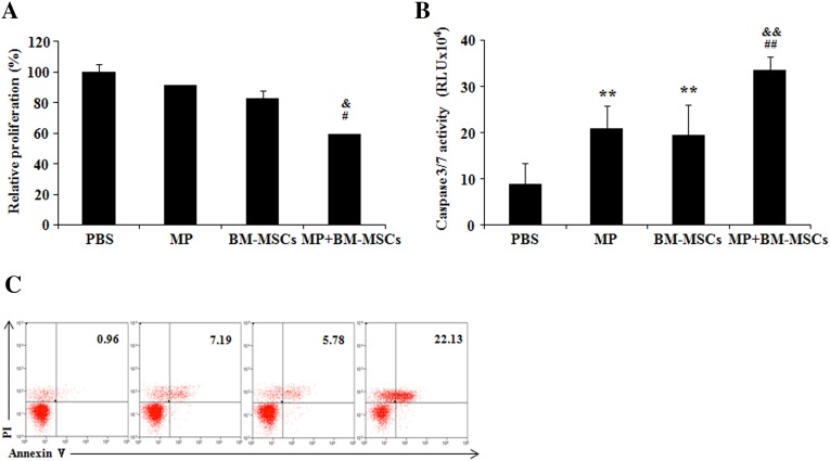 Fig. 7