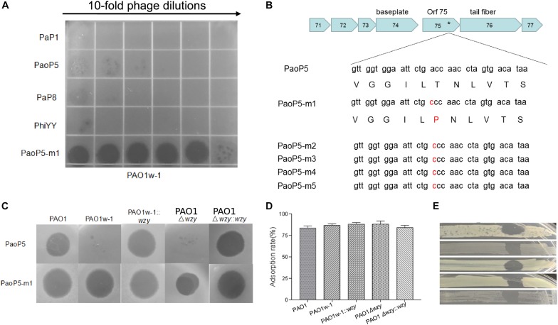 FIGURE 3