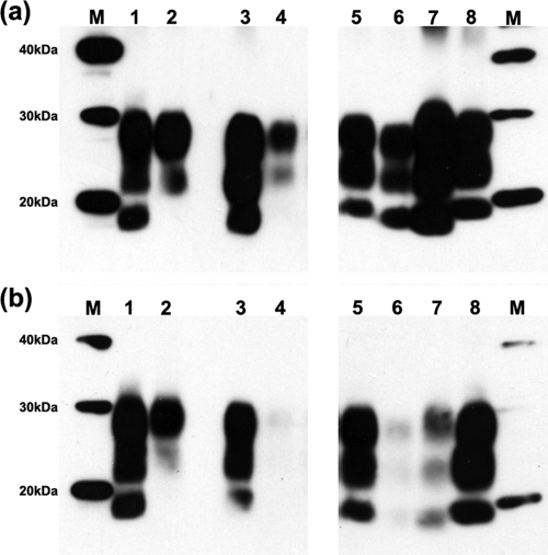 FIG. 5.