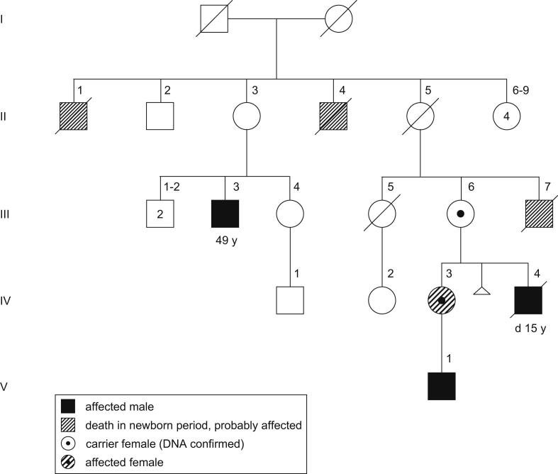 Fig. 3