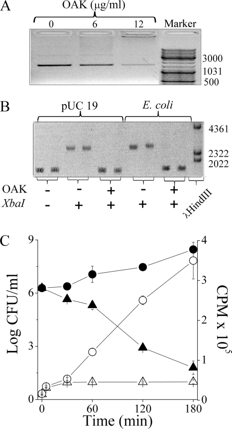 FIG. 5.