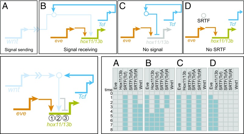 Fig. 2.