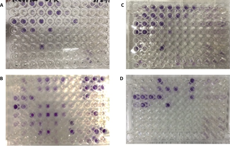 Fig 3