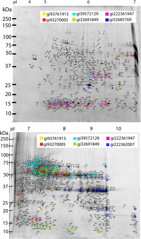 Figure 2.