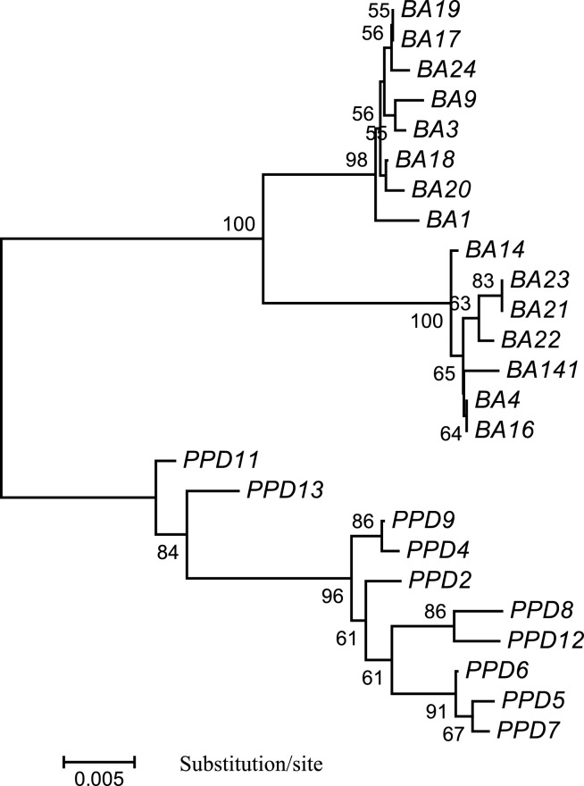 Fig. 2