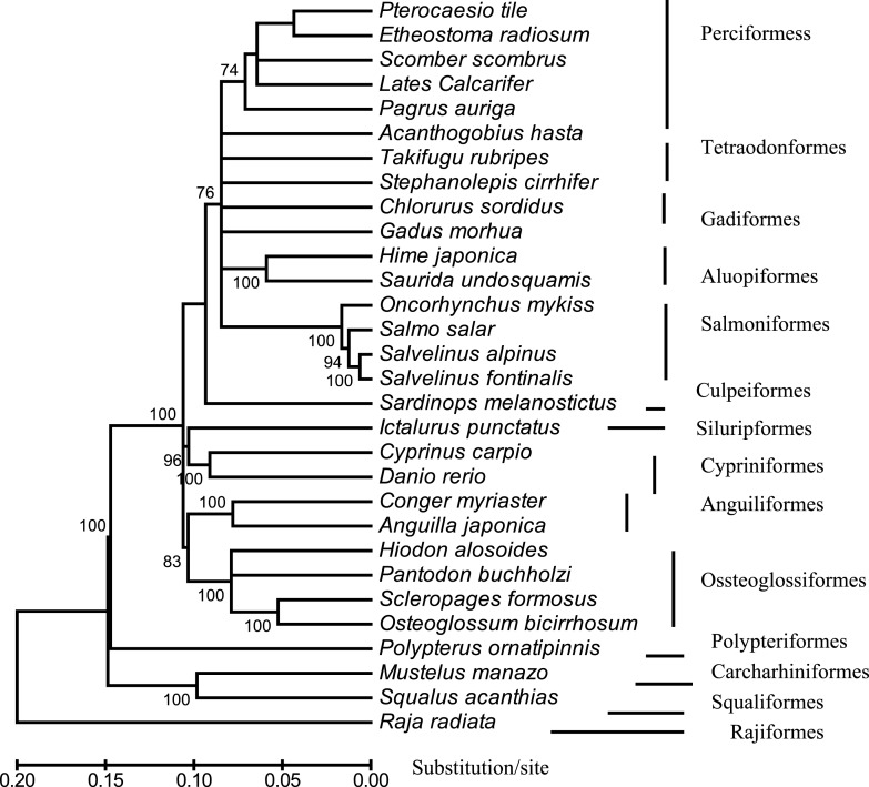 Fig. 3