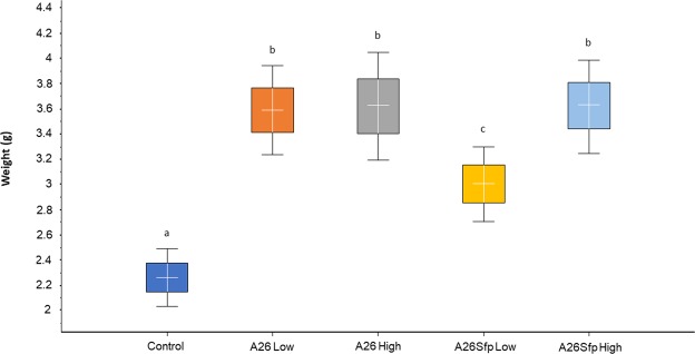 Figure 5