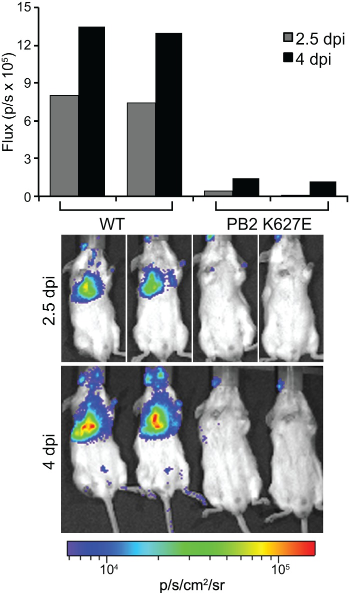 Fig 4