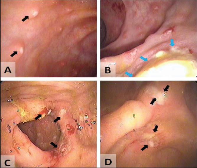 Figure 3)