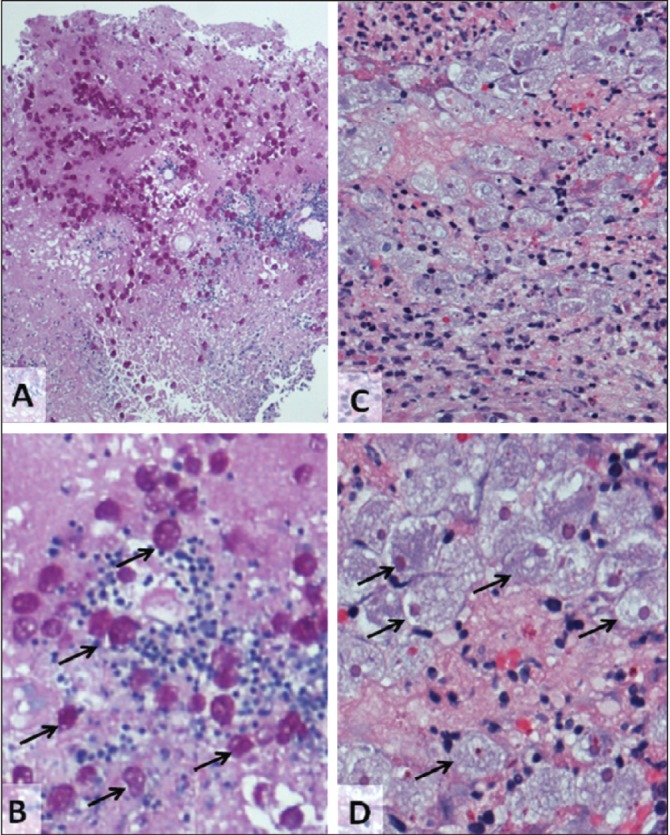 Figure 4)