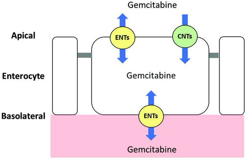 Fig. 9.