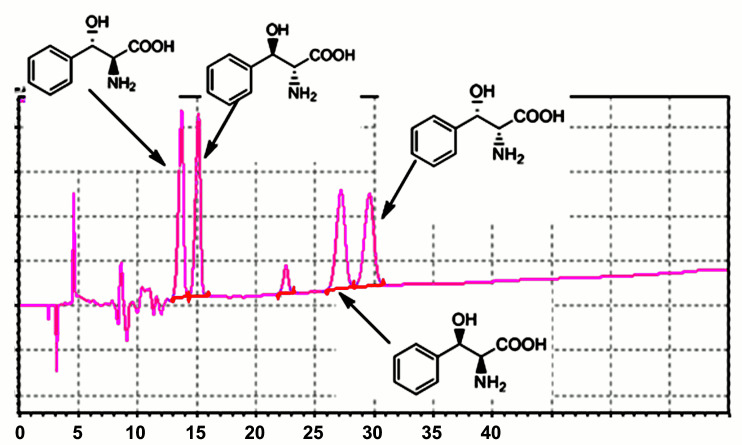 Figure 13