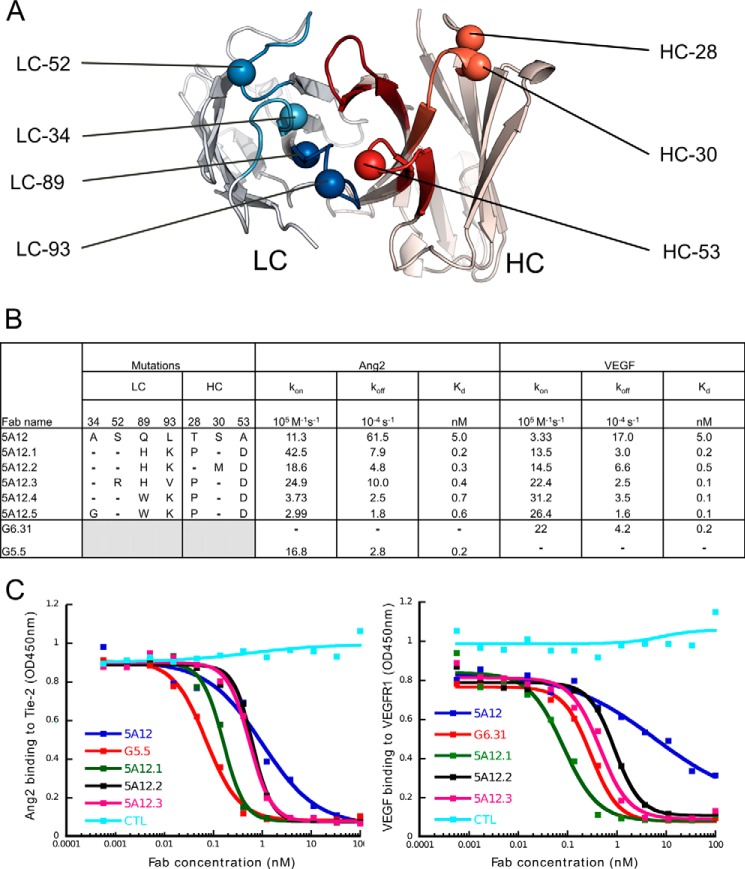 FIGURE 7.