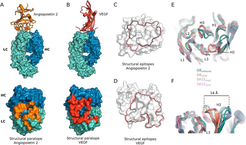 FIGURE 1.