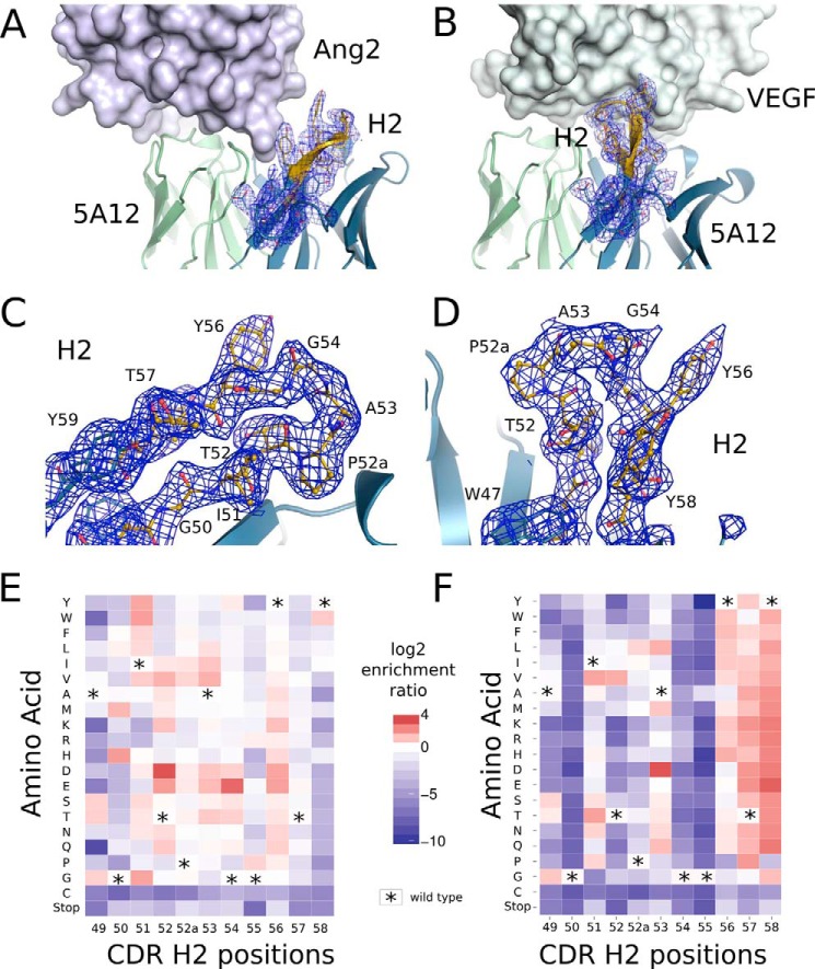 FIGURE 4.