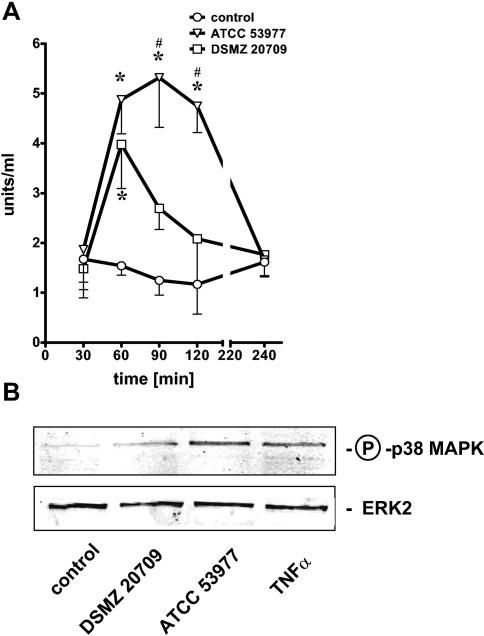 FIG. 5.