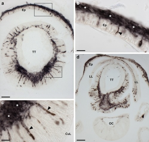 Figure 14