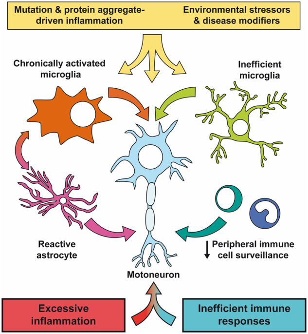 Graphical Abstract