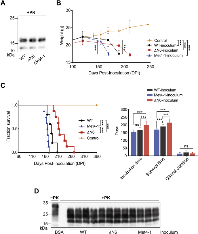 Figure 6