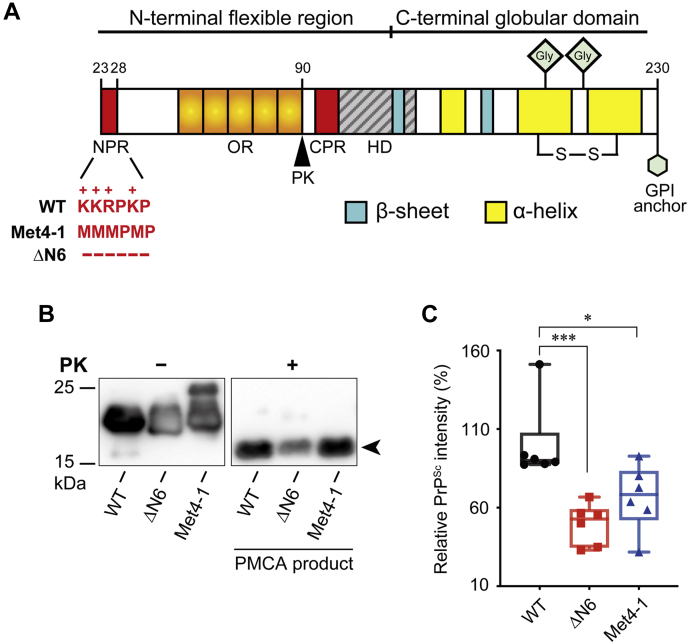 Figure 1