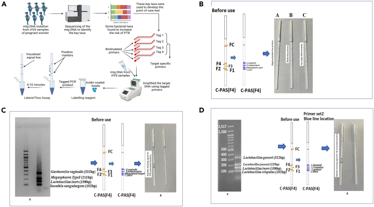 Figure 12