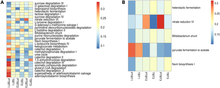 Figure 11