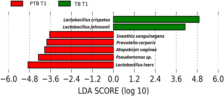 Figure 7